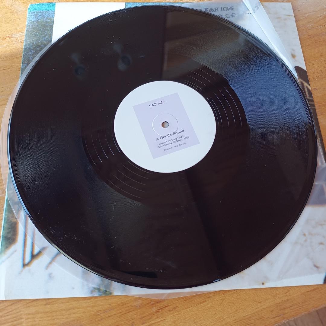 洋楽 A Gentle Sound 12\"/The Railway Children