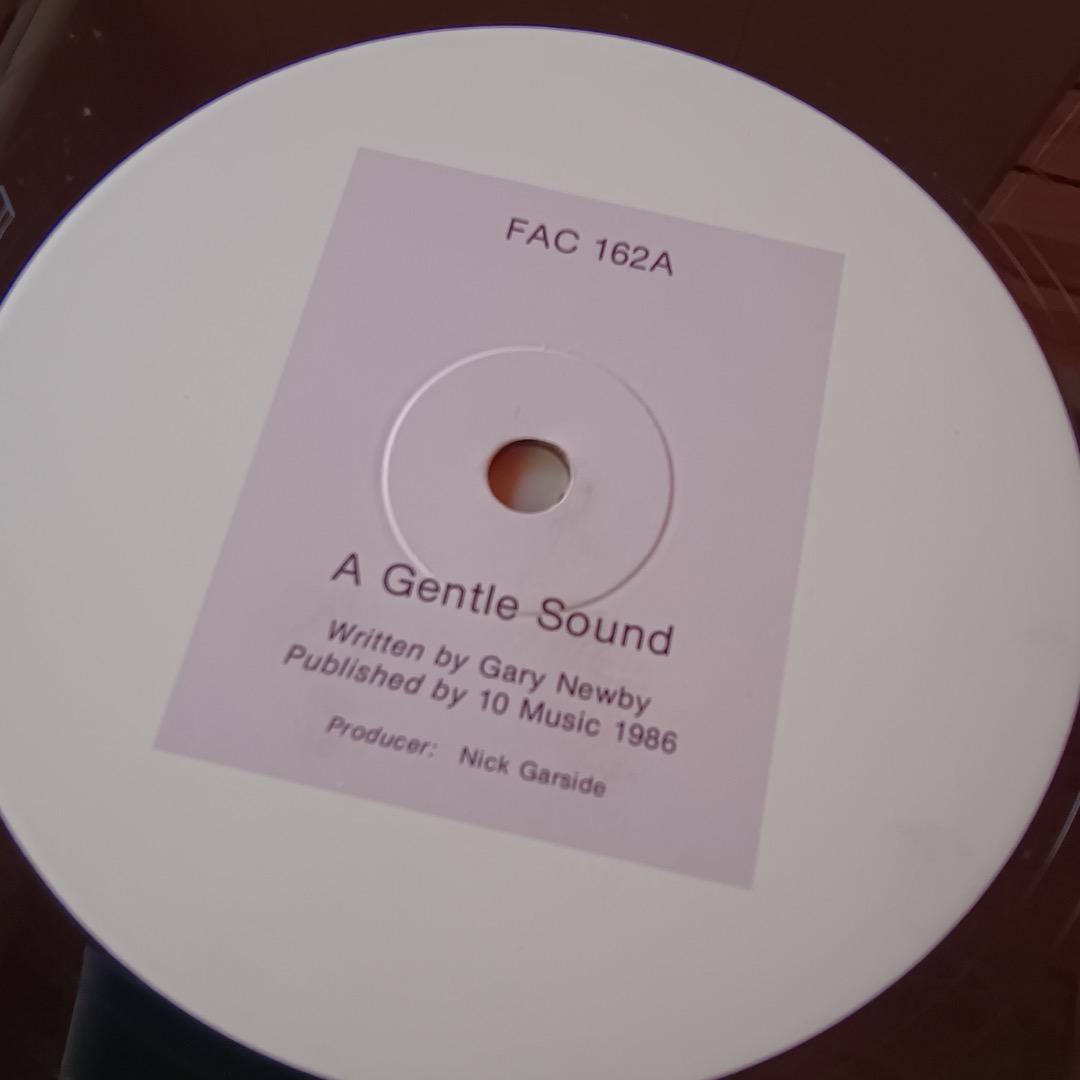 洋楽 A Gentle Sound 12\"/The Railway Children