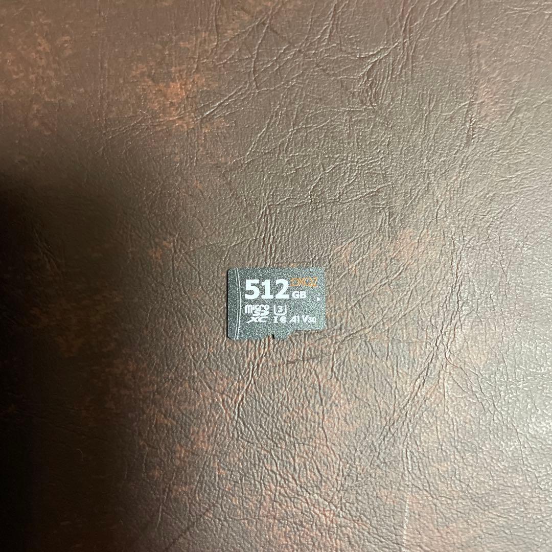 Nintendo Switch Lite + SDカード(512GB)