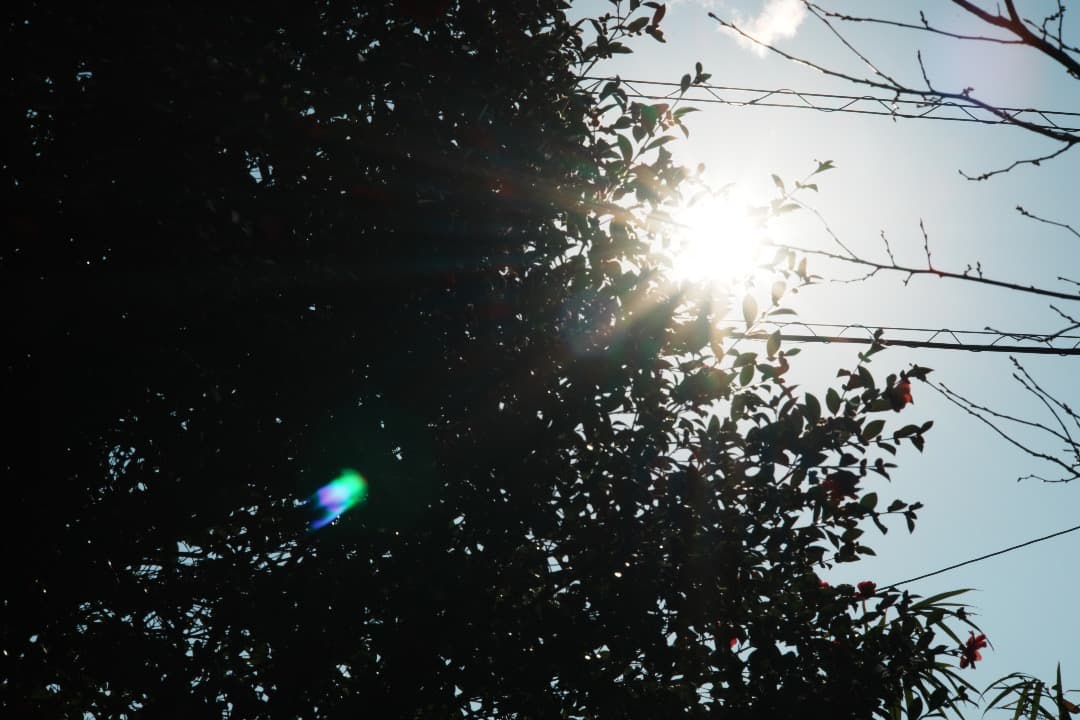 【整備＆テスト済】Nikon New Nikkor 105mm F2.5 433