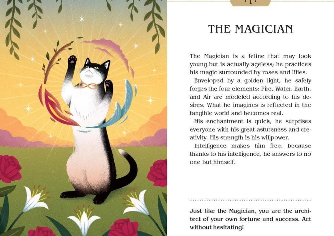 【正規品タロットカード】海外人気デッキ✨魔法のような神秘的な猫に導かれるデッキ