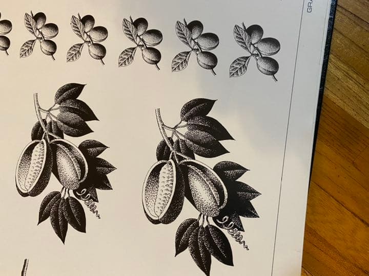 グラフィックエレメント