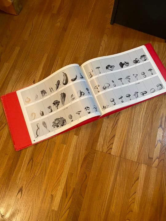 グラフィックエレメント