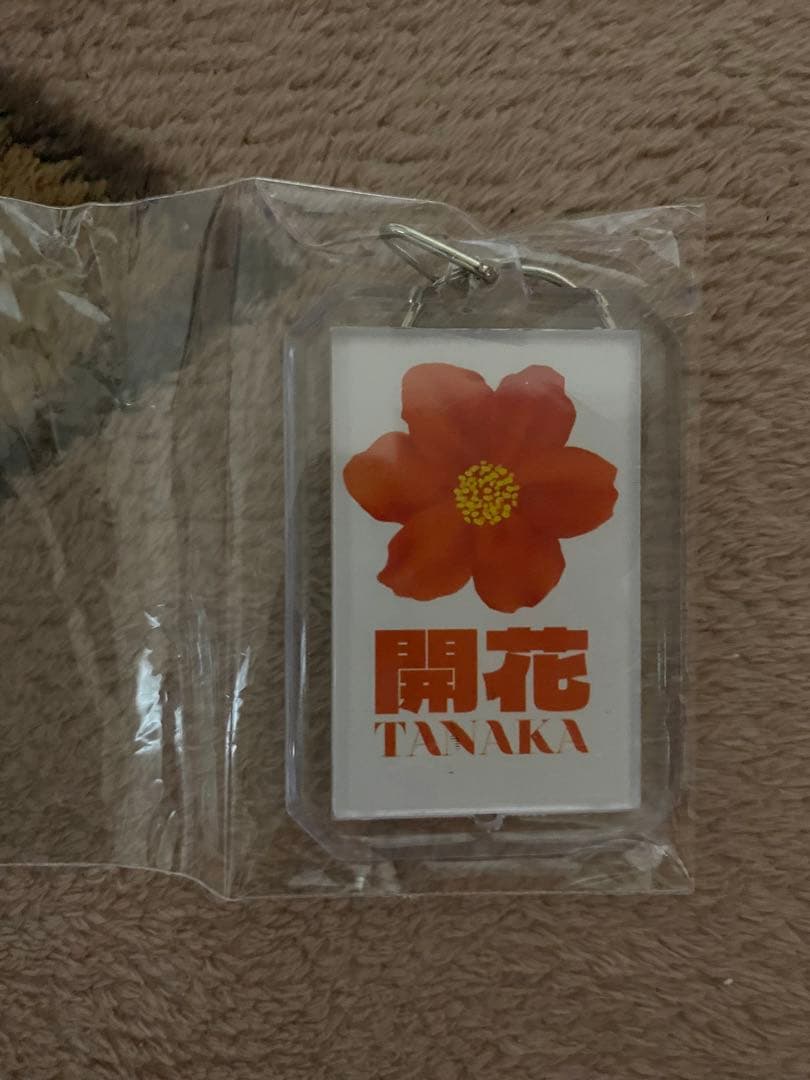 タナカ 田中 キーリング キーホルダー