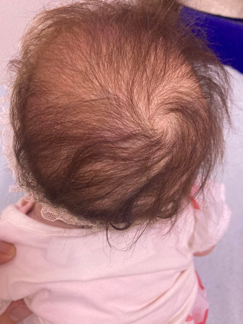 みいです！高級リボンドール　アメリア