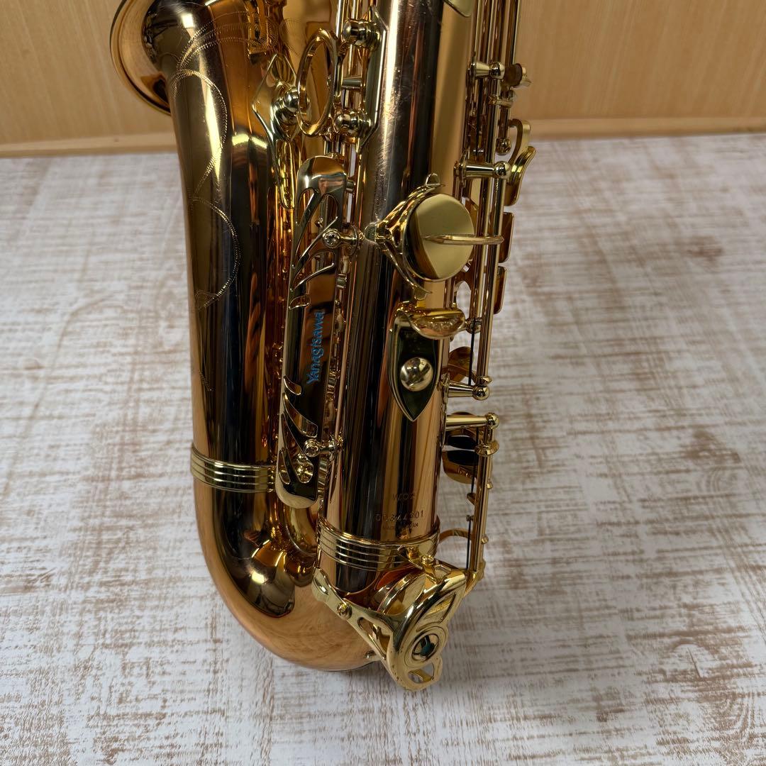 YANAGISAWA ヤナギサワ　アルトサックス A-WO2 ケース付き