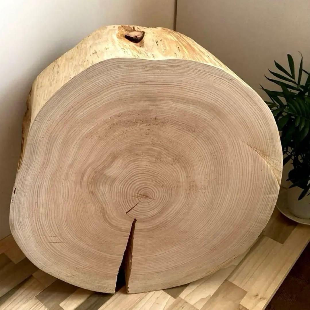 特大直径47cm 切り株　スツール　サイドテーブル　樹齢約80年　ハンドメイドD