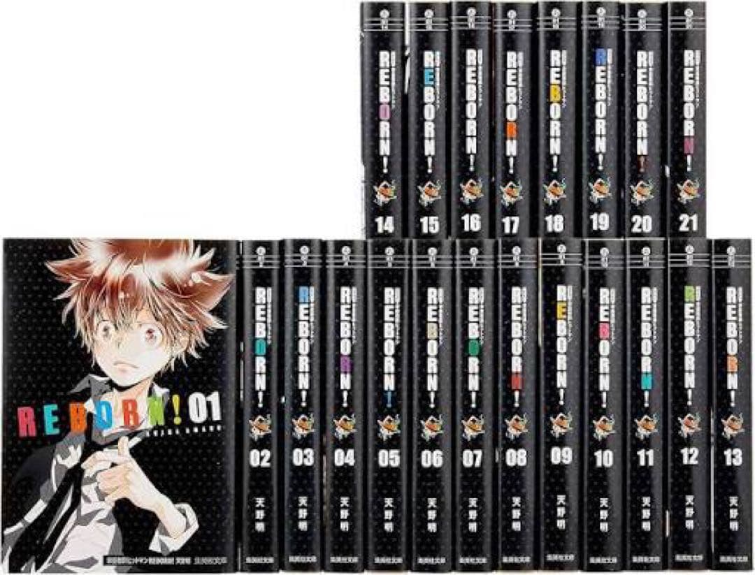 家庭教師ヒットマンREBORN! 文庫版 全21巻 完結セット