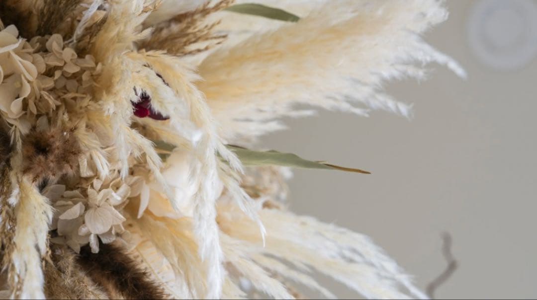 Modern peoples モールド ドライボール