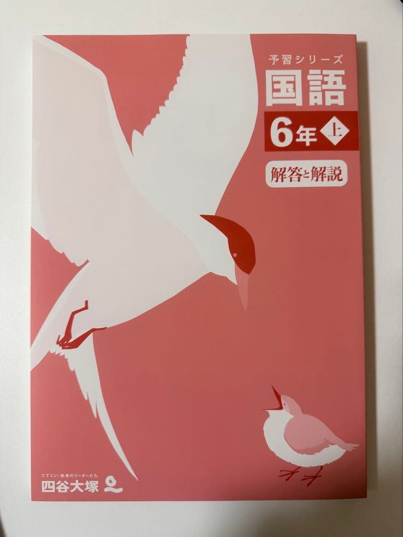 予習シリーズ 算数など 6年 上巻・解答と解説　全１２冊