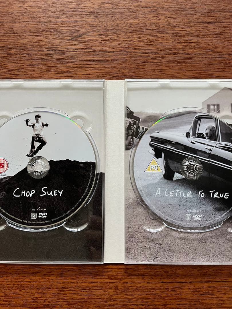 BRUCE WEBER 超貴重 DVD5枚セット