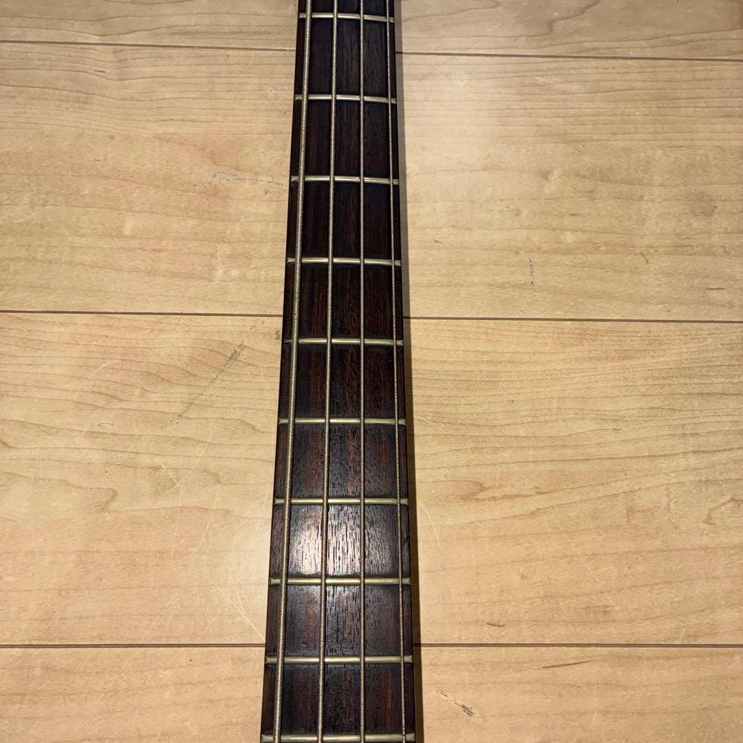 希少　調整済み　EDWARDS LUNA SEA J model