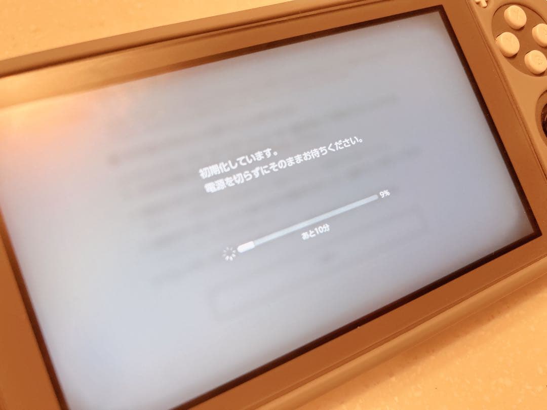 Nintendo Switch Lite グレー　あつまれどうぶつの森