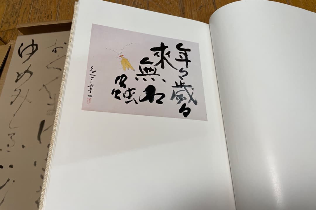 書　熊谷守一　大型本