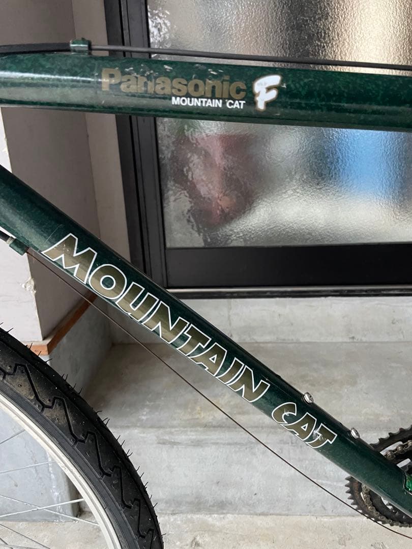 パナソニック　マウンテンキャット