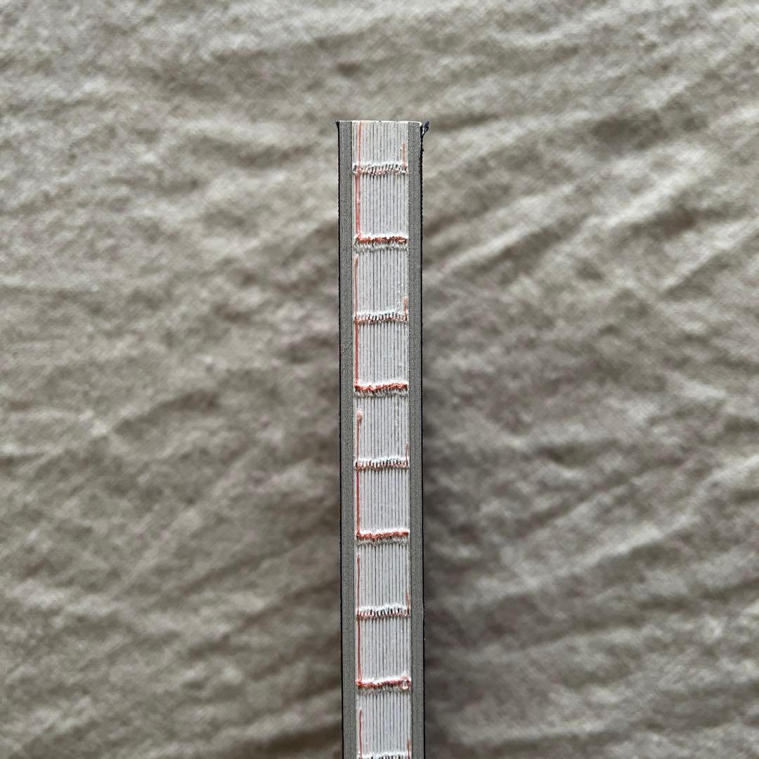 PIEZOGLYPH #FF0921 菅田将暉 小松菜奈 写真集