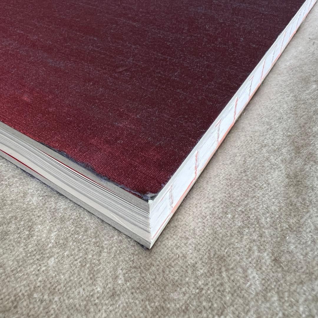 PIEZOGLYPH #FF0921 菅田将暉 小松菜奈 写真集