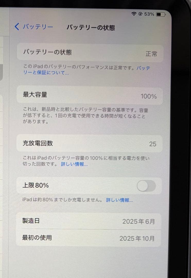 iPad本体 iPad mini (A17 Pro) 256GB Wi-Fi