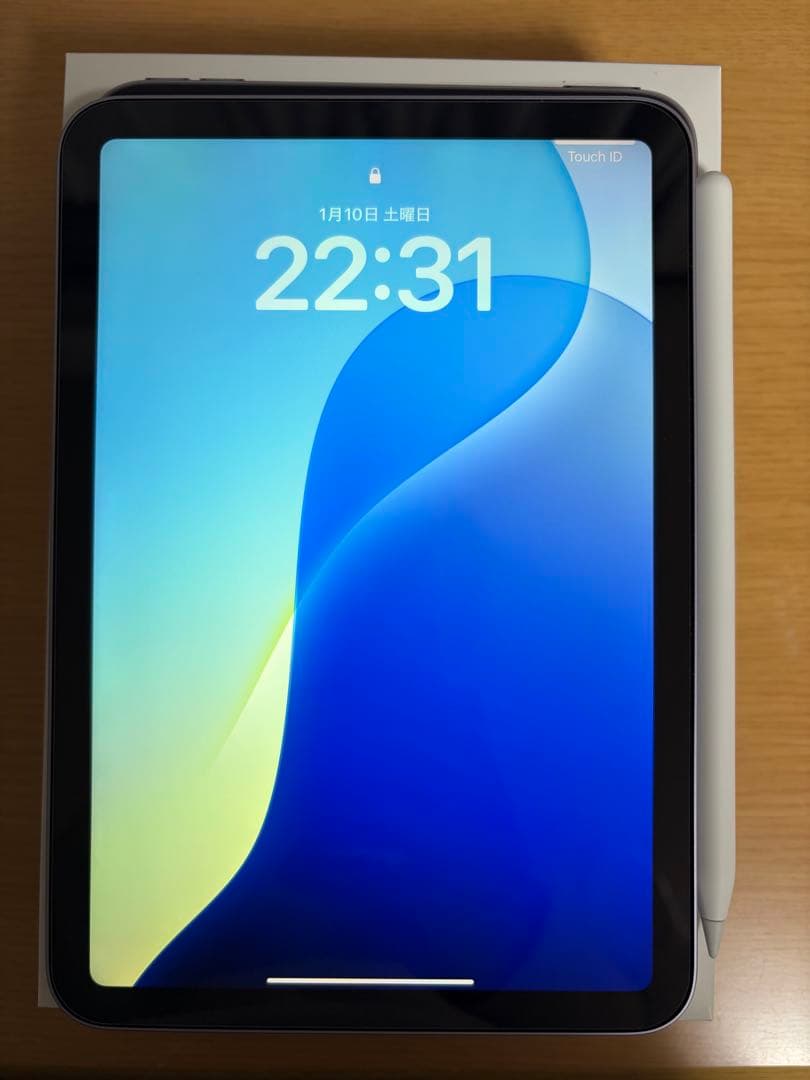 iPad本体 iPad mini (A17 Pro) 256GB Wi-Fi