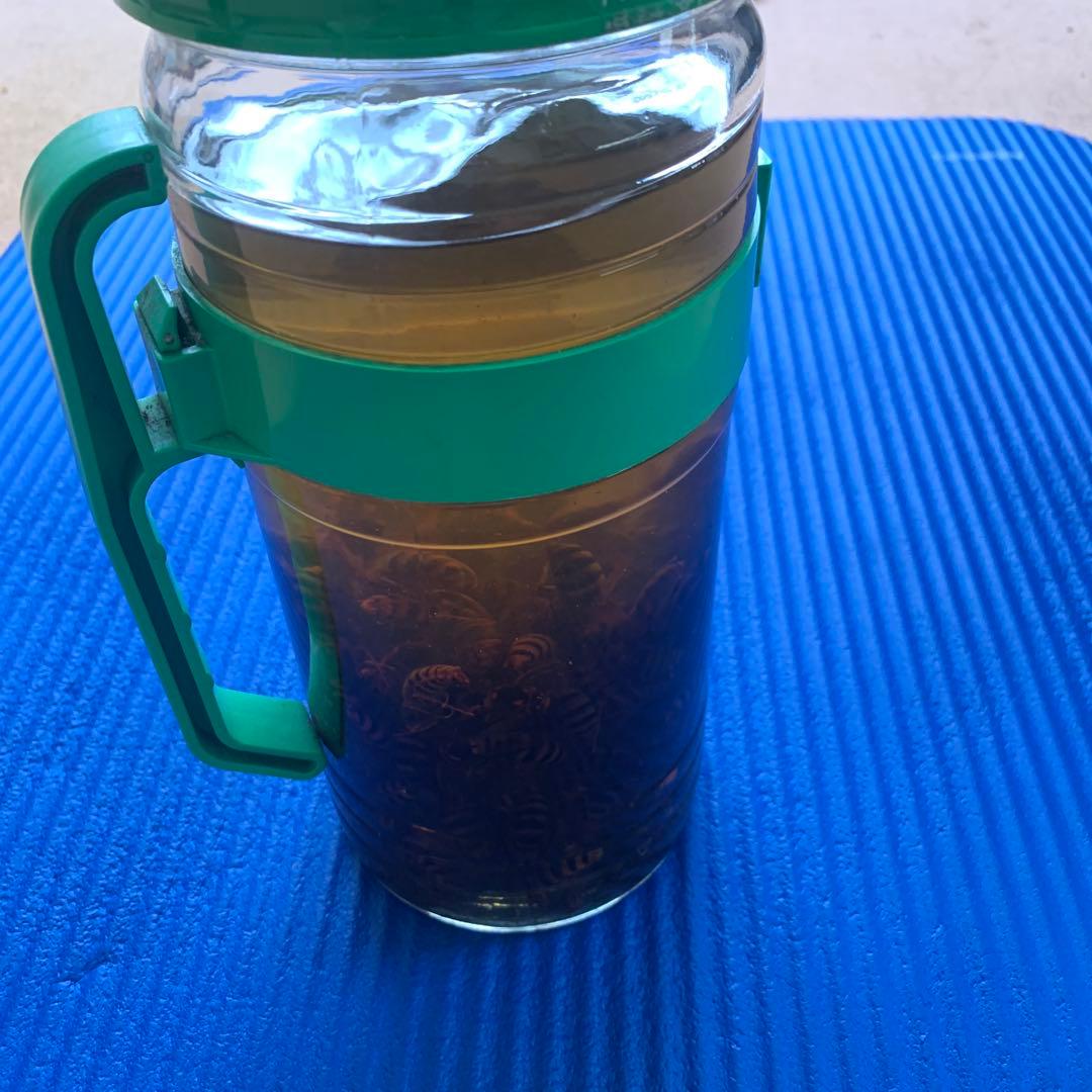 【35年物】スズメバチ焼酎