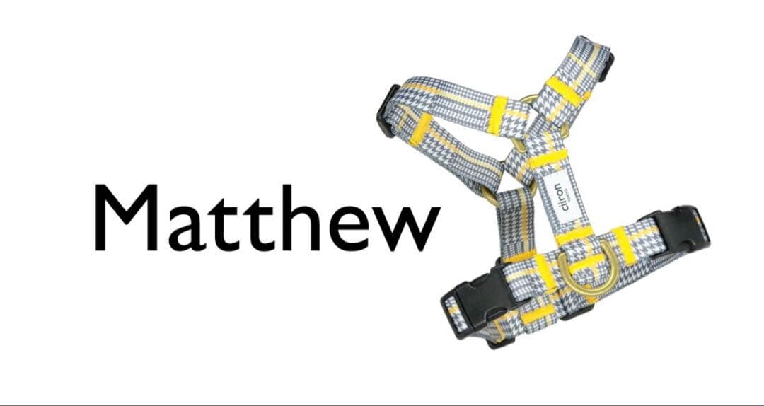 ciiron TOKYO Matthew ハーネス ショルダーリードセット