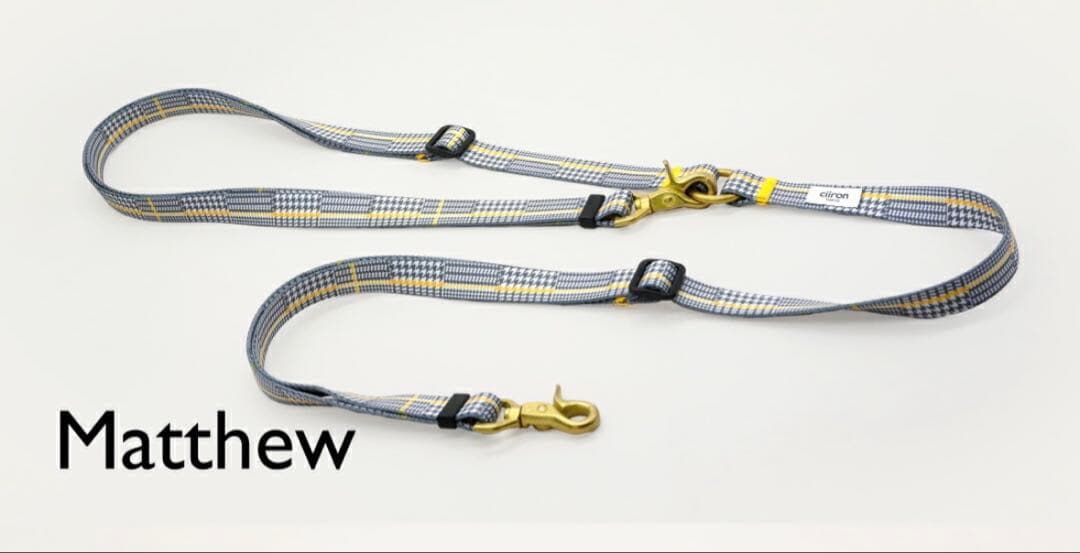 ciiron TOKYO Matthew ハーネス ショルダーリードセット