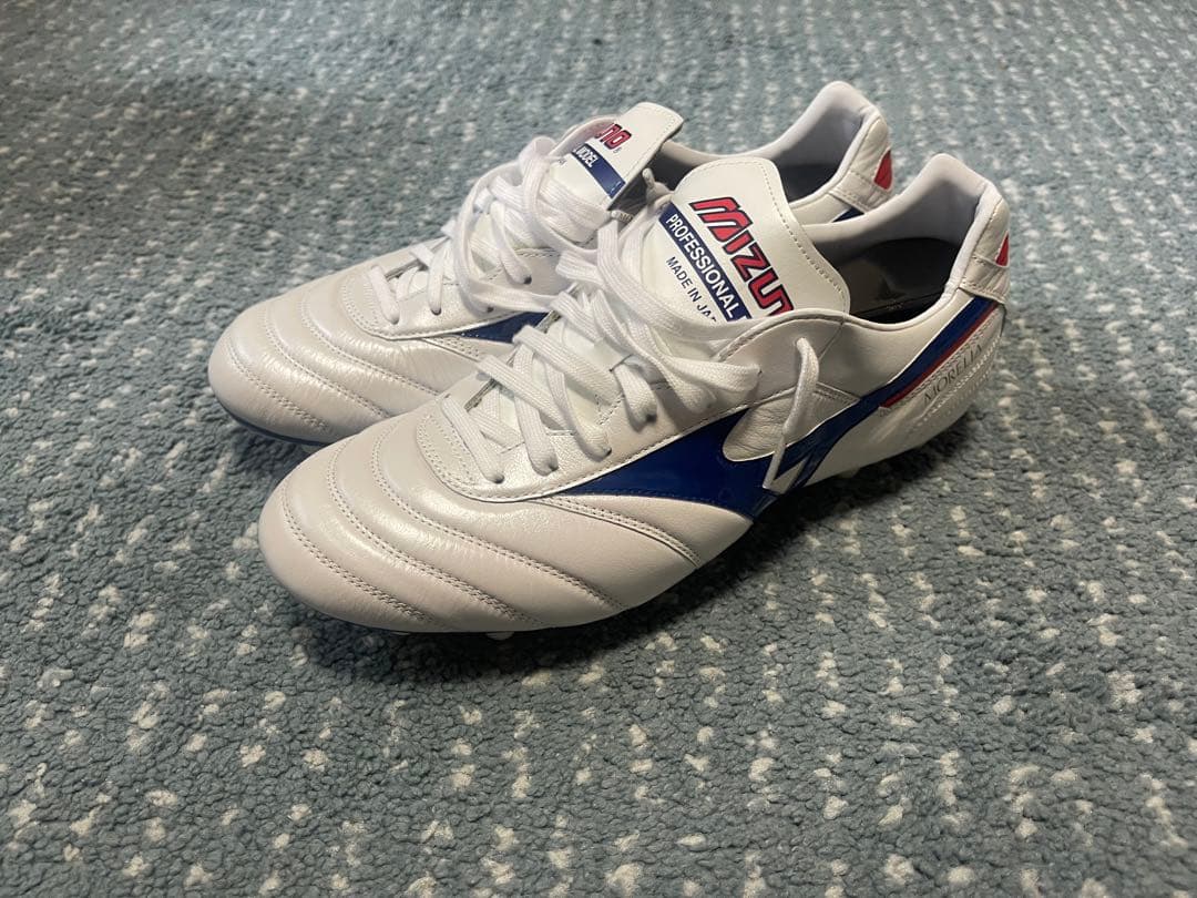 1500足限定カラー モレリア2Japan 28cm