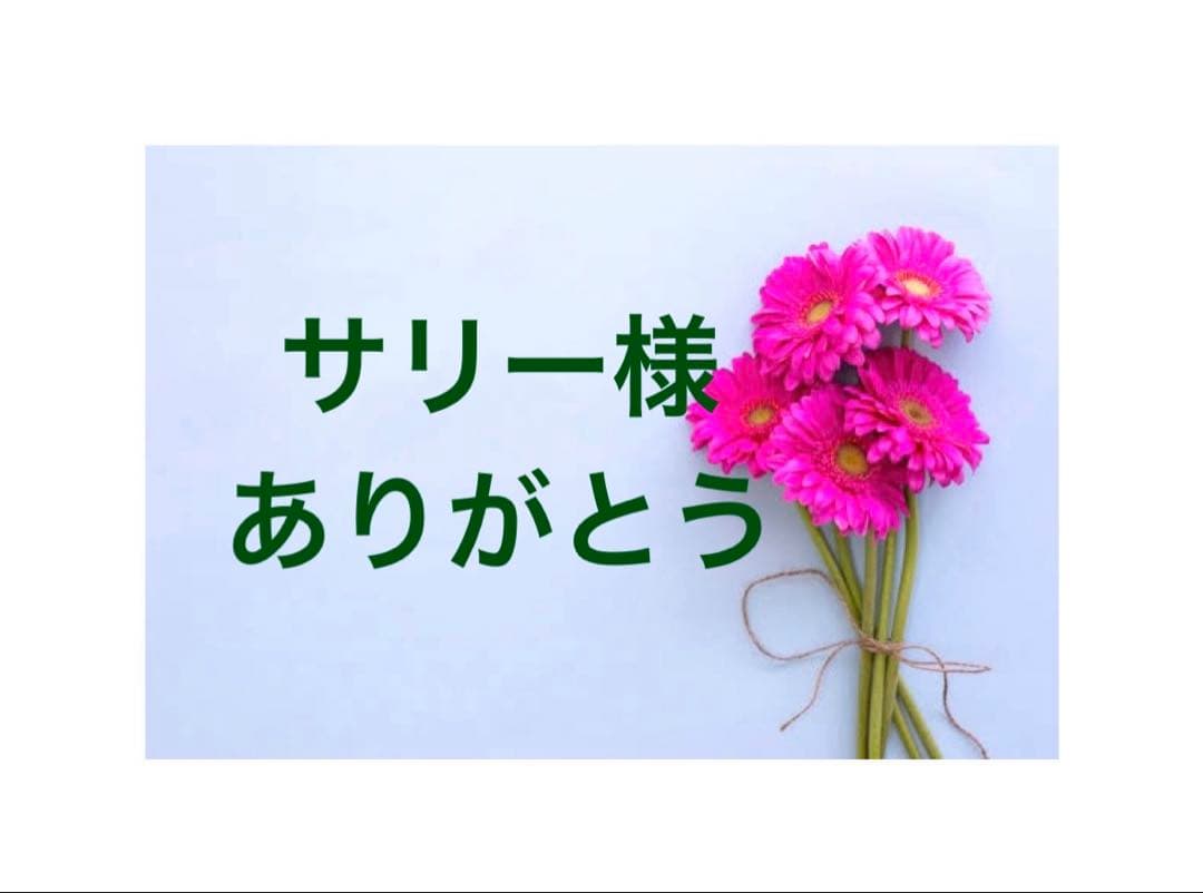 サリーページ/M