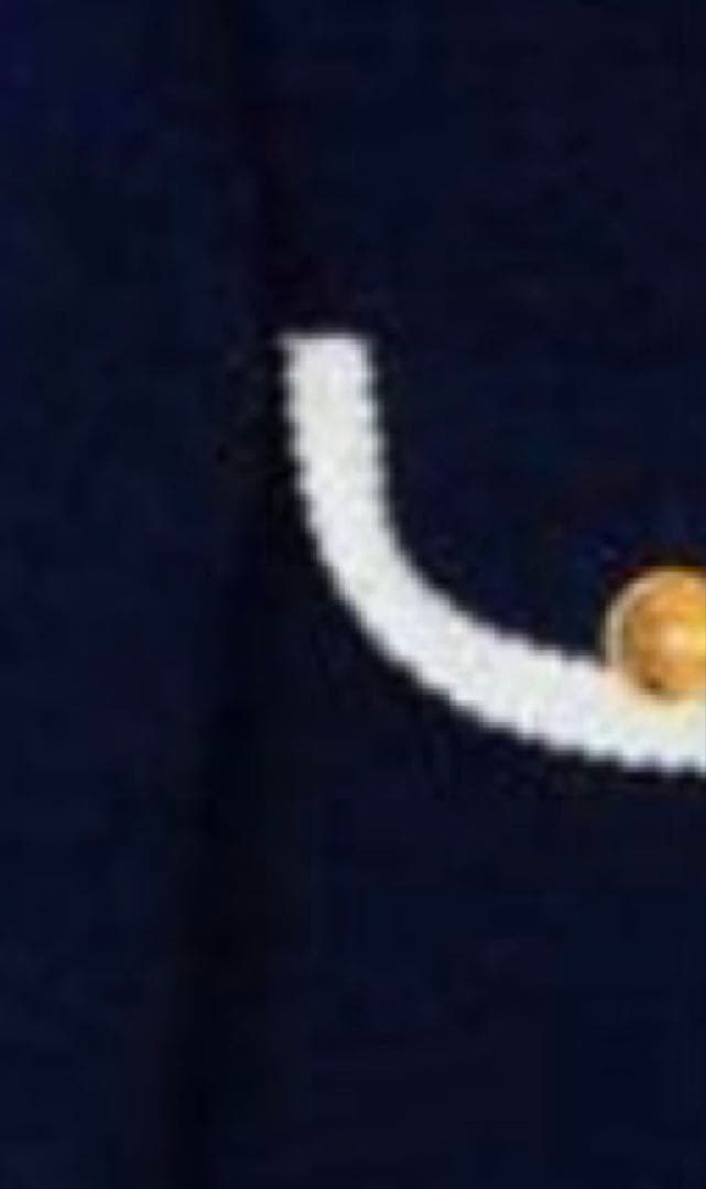 サリーページ/M