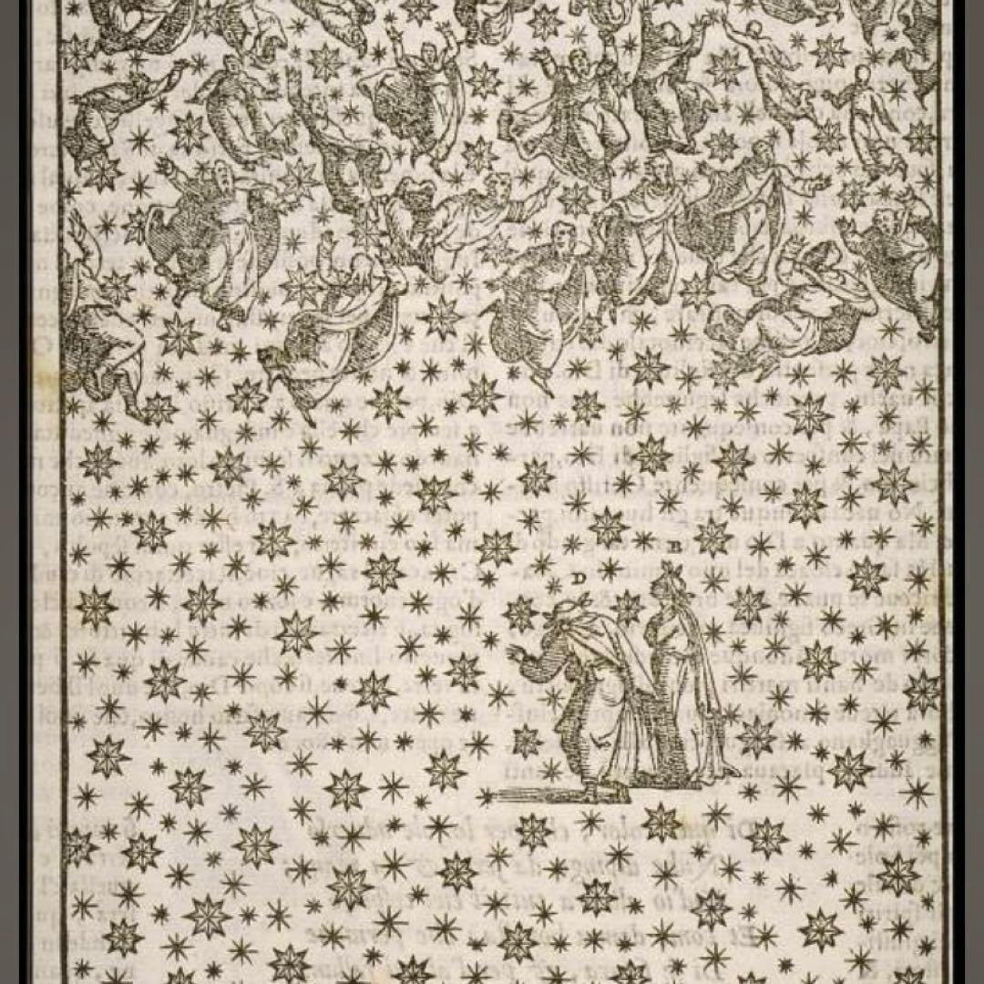 靴 ryaw vein foot wear+novelty