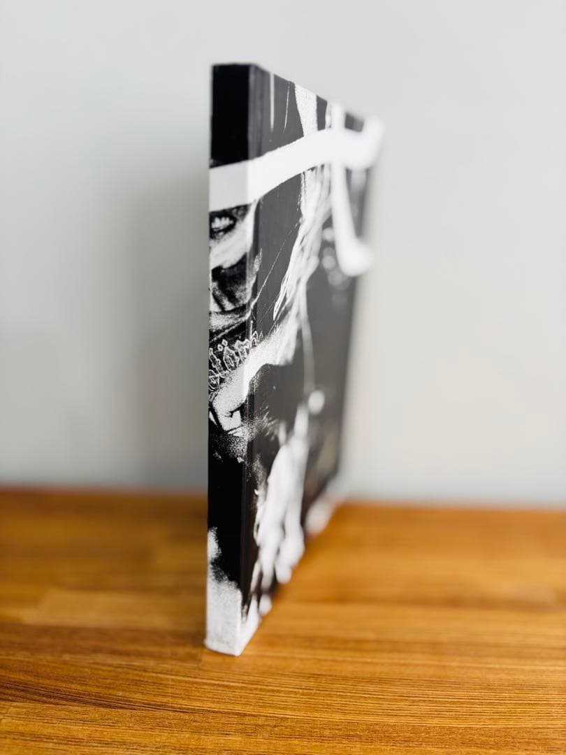 touch me i'm sick 写真集　チャールスピーターソン　ニルヴァーナ