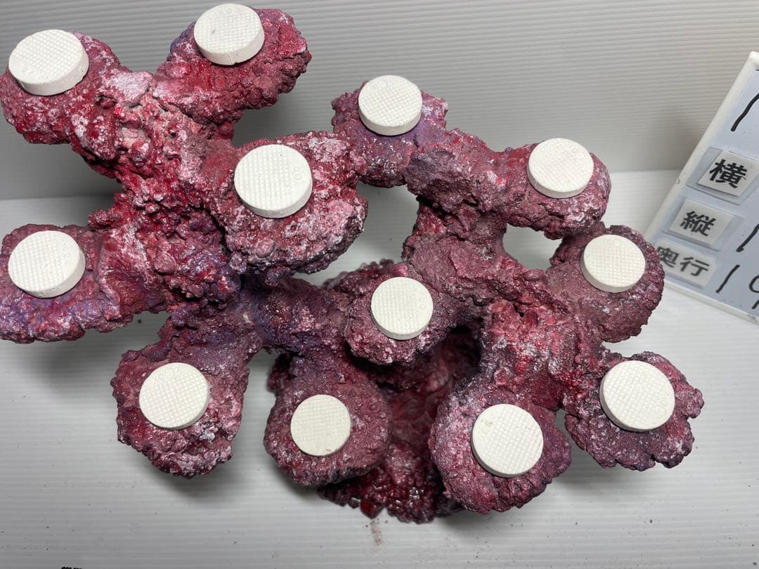 【送料無料】人工ライブロック　PHR26／12穴加工　アク抜き済み安心塗料使用