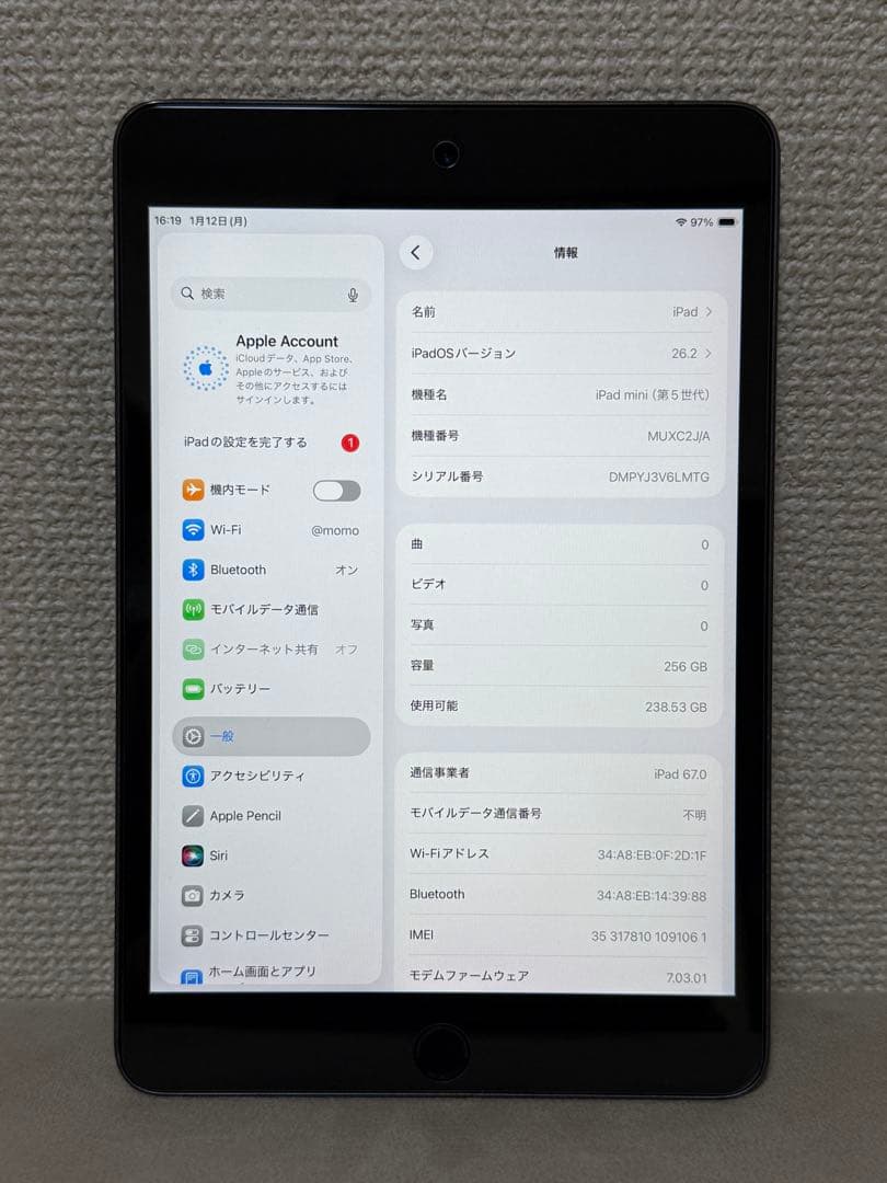 Ipad mini 第5世代256GB WI-FI＋ cellular