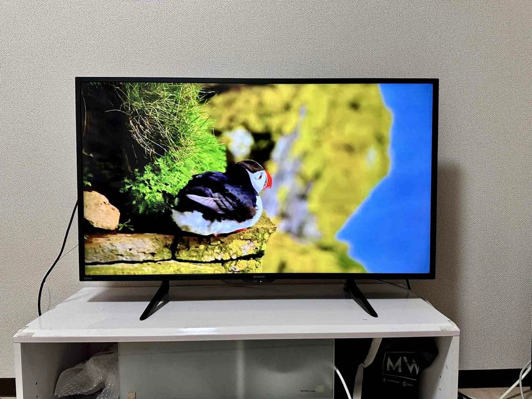 4K 対応SHARP 42インチ 液晶テレビ 2023年製4T-C42DH1
