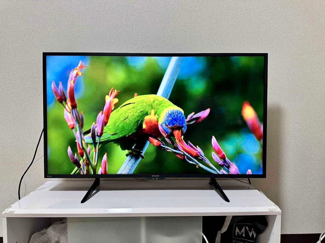 4K 対応SHARP 42インチ 液晶テレビ 2023年製4T-C42DH1