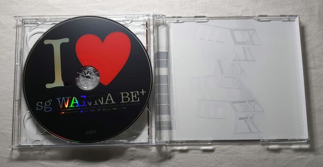 【CD+DVD】SG WANNA BE+ 9点 セット まとめ