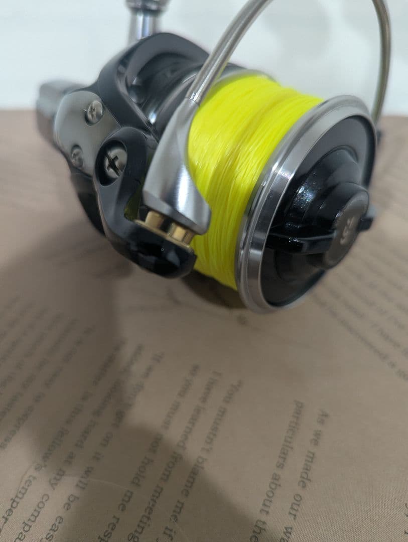 ダイワ18プロカーゴ4500ss遠投　新品遠投カゴ6号200m付