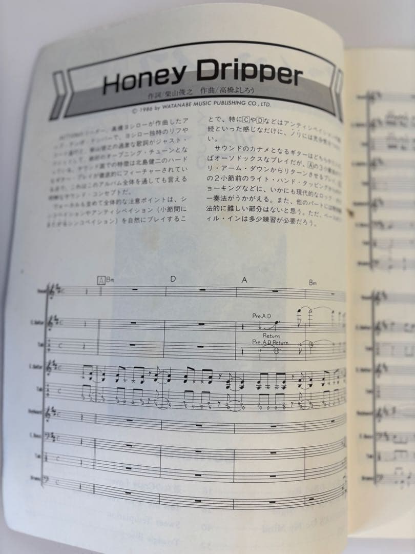 アン・ルイス 遊女　バンドスコア