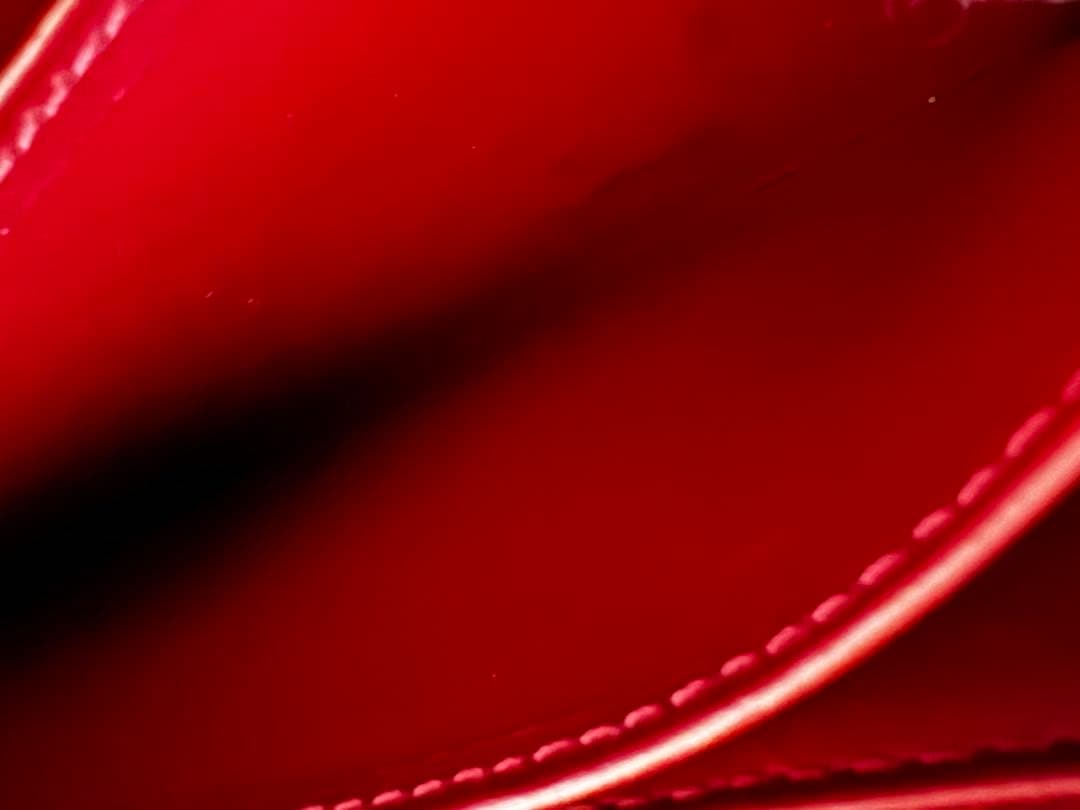 九紋 竜ルイヴィトン モノグラム レッド②