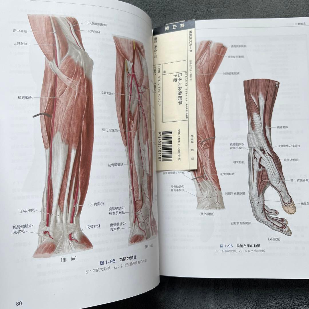 日本人体解剖学 下 改訂20版