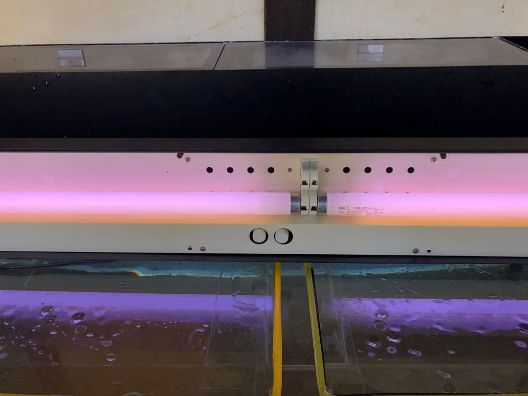 め*い様 水槽120×60×60cm ５点セット☆引取り限定☆