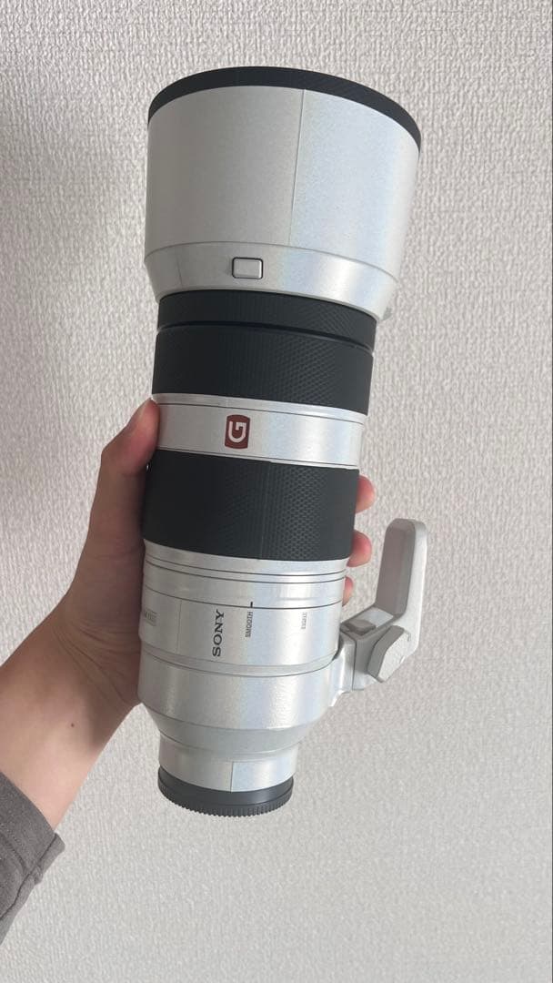【美品】SONY FE 100-400mm F4.5-5.6 GM OSS