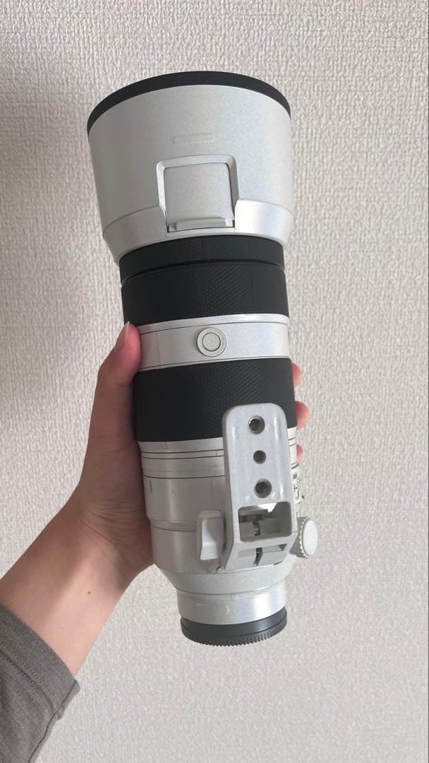 【美品】SONY FE 100-400mm F4.5-5.6 GM OSS