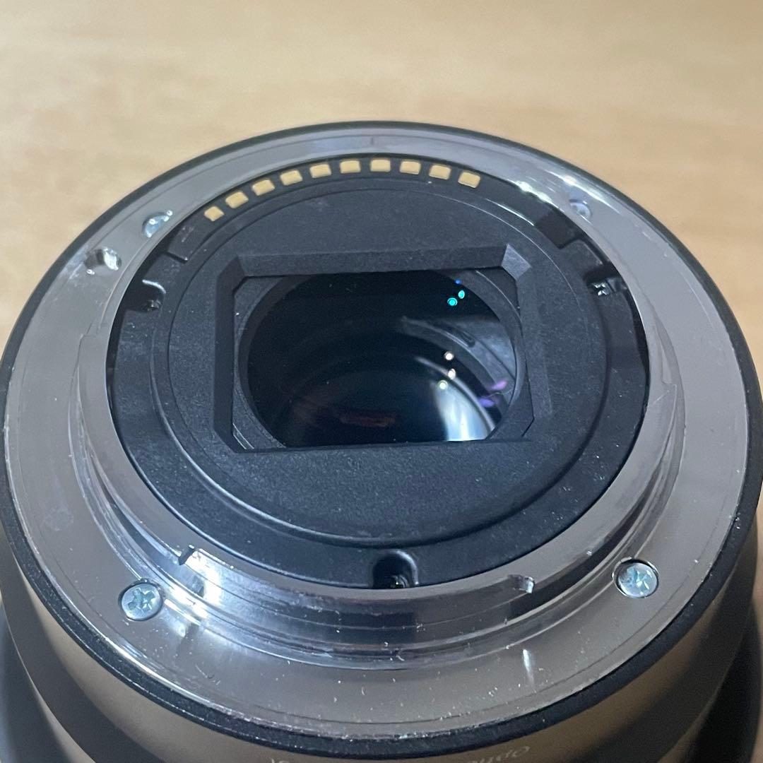 さ*う様 ソニー SONY SEL1670Z 16-70 F4 ZA OSS E