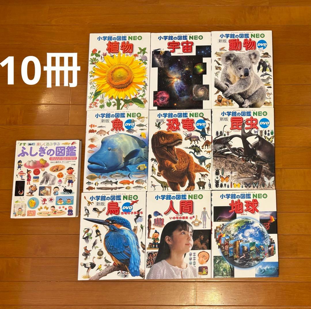 【10冊セット】小学館の図鑑 NEO ネオ　ふしぎの図鑑