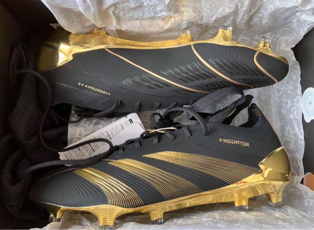 プレデター　ベリンガムモデル