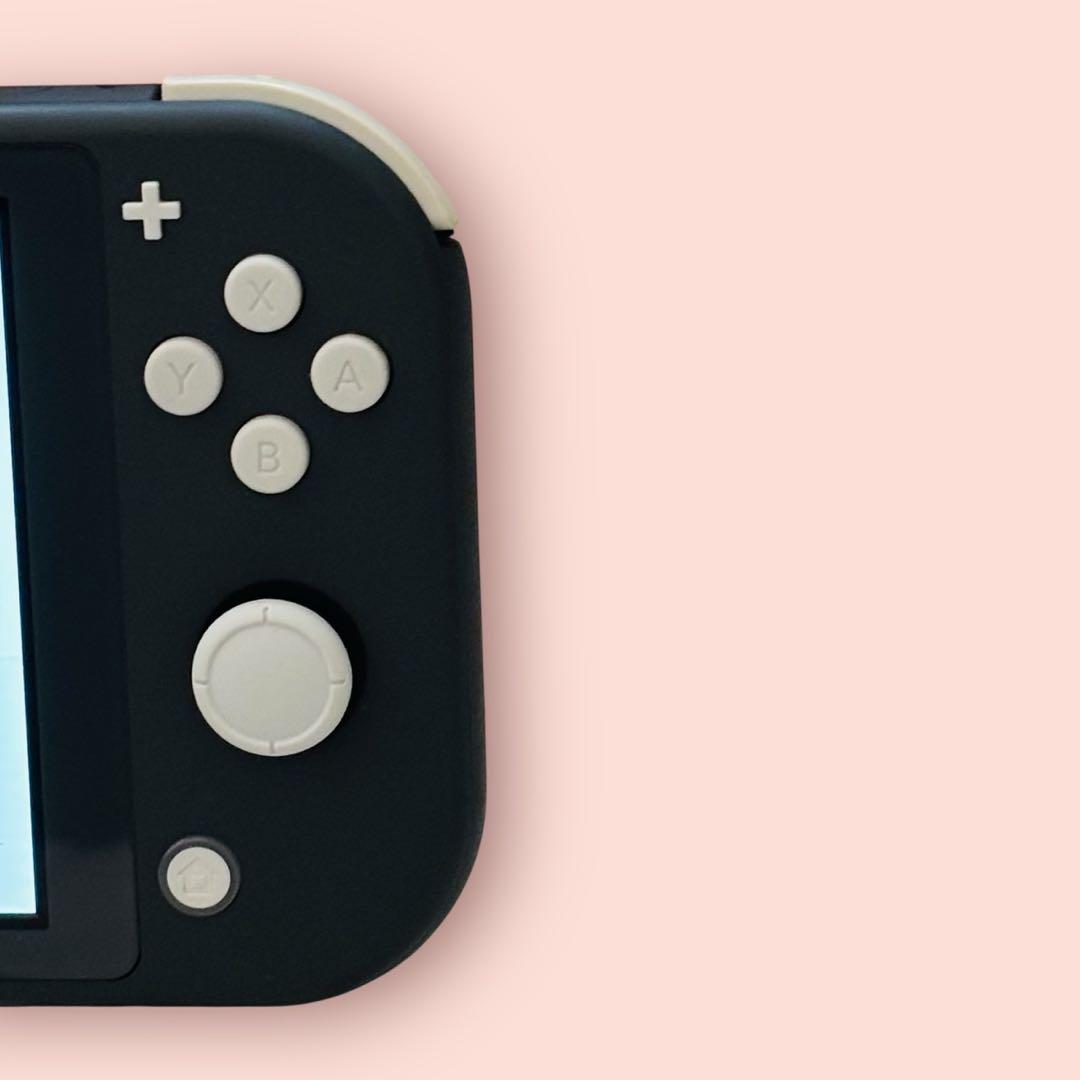 【美品】Nintendo Switch Lite グレー　本体