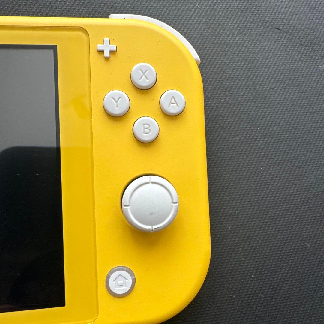 R*i様 スイッチライト 本体