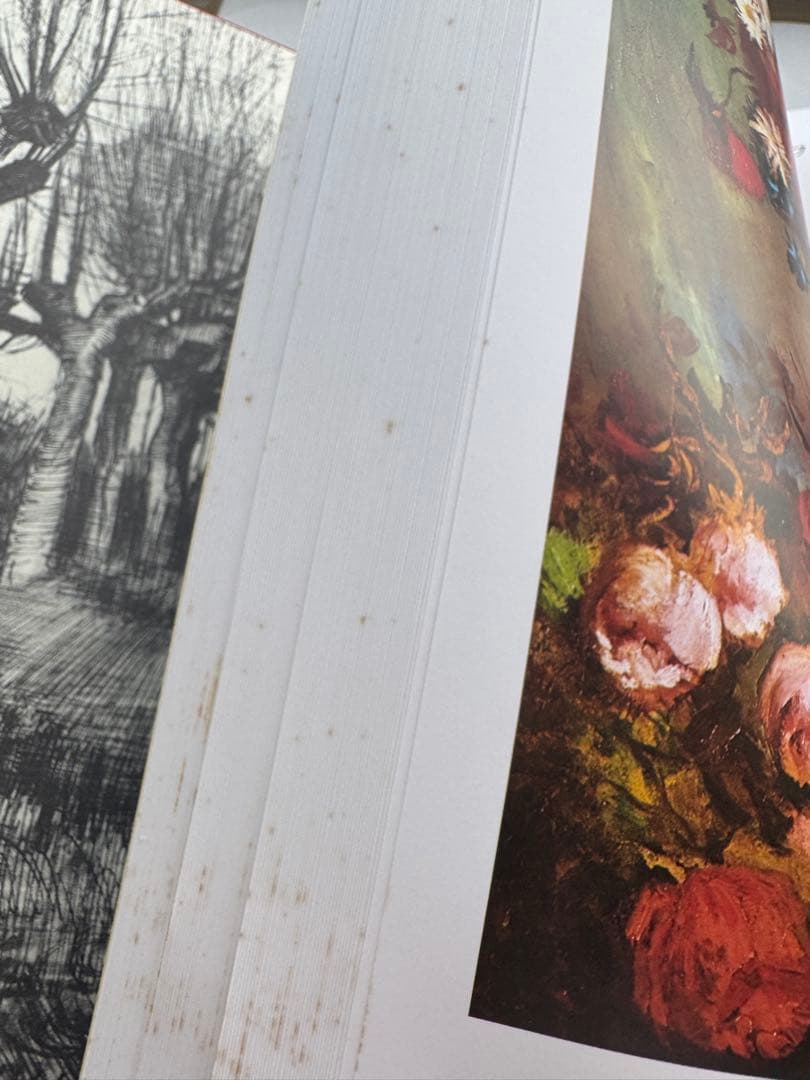 Van Gogh（ヴァン・ゴッホ）全油彩画集 全2巻セット 日本語版