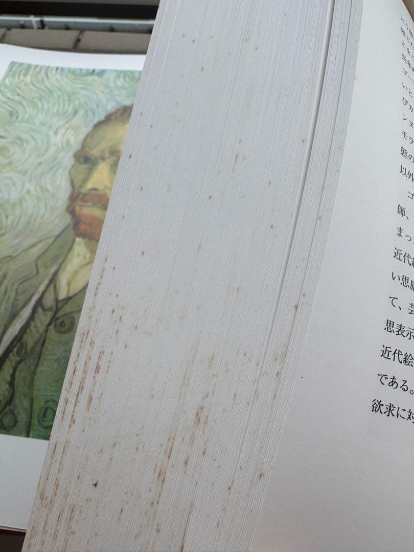 Van Gogh（ヴァン・ゴッホ）全油彩画集 全2巻セット 日本語版